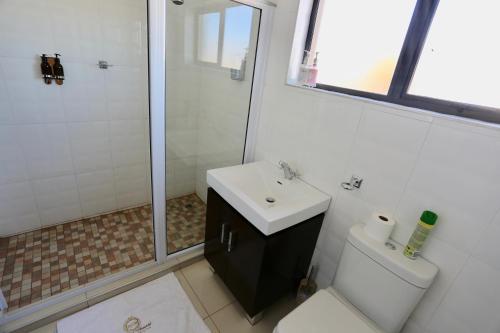 a bathroom with a sink and a shower and a toilet at Boutique Guesthouse Mariental in Mariental