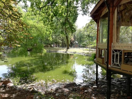 un étang dans un parc avec une maison au premier plan dans l'établissement Apartamenty Bydgostia, à Bydgoszcz