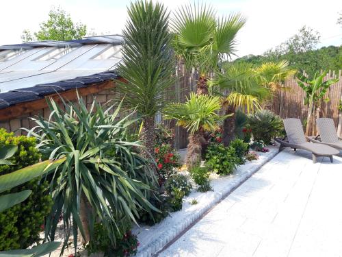 a garden with palm trees and chairs on a patio at Penzion Pod Hradem in Potštejn