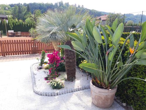 a garden with plants and flowers in a yard at Penzion Pod Hradem in Potštejn