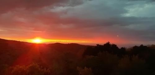 Un paisaje natural cerca de la casa de huéspedes