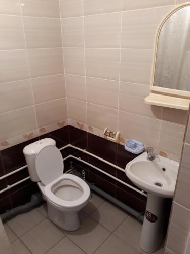 a bathroom with a toilet and a sink at Гостевой Дом in Rostov on Don