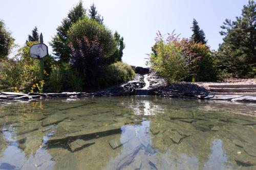 a pool of water in front of a waterfall at Apartmány PEMI Potštejn in Potštejn