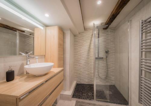 y baño con lavabo y ducha. en Le Carré d'or - Appartement avec vue Cathédrale, en Estrasburgo