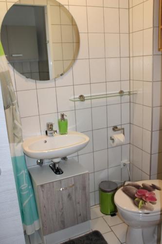 ein Badezimmer mit einem Waschbecken, einem WC und einem Spiegel in der Unterkunft Ferienwohnung Würzburg/Heidingsfeld in Würzburg