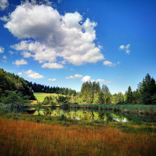 a field with a lake and a cloudy sky at Ferienhof Margarethengut in Unterach am Attersee