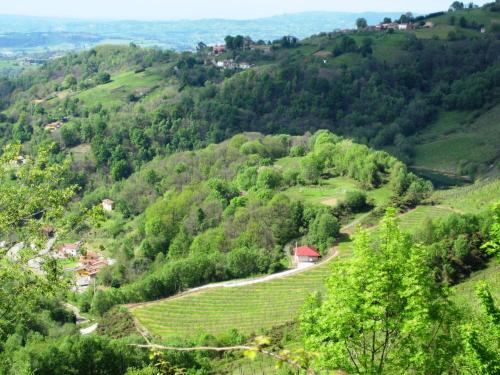 a view of a green hillside with trees and a road at Casa La Escuela in Tuilla