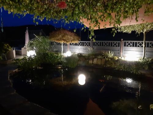 a garden at night with lights in a pond at Haus Steffi in Müllheim