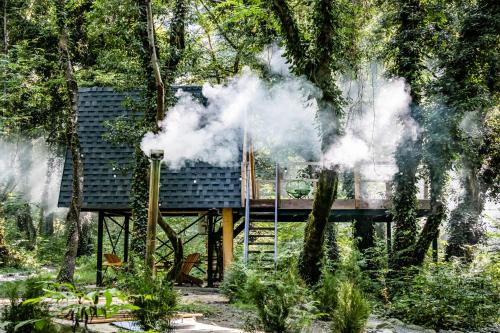 Ein Baumhaus mit Rauch aus dem Baum in der Unterkunft Duende Hotel in Lagodechi