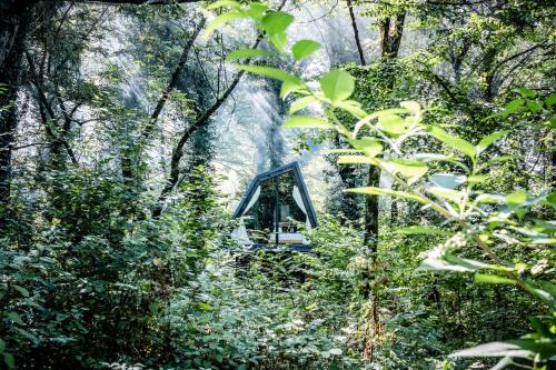 a bulldozer in the middle of a forest at Duende Hotel in Lagodekhi