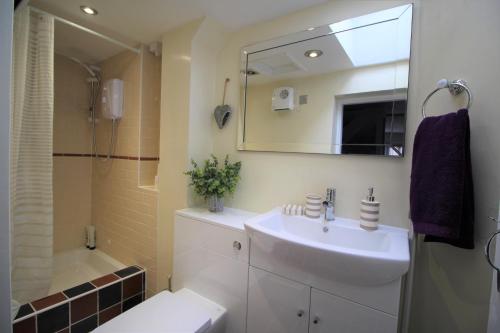 a bathroom with a sink and a mirror and a toilet at 1 Steam Packet Cottage in Canterbury