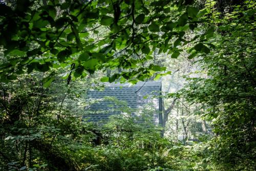 a building in the middle of a forest of trees at Duende Hotel in Lagodekhi