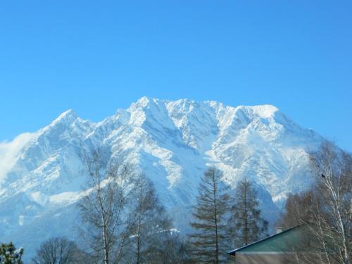 a snow covered mountain with trees in front of a building at Wohlfühl - Appartement Fewo Pichlarn Irdning Ferienwohnung in Aigen im Ennstal