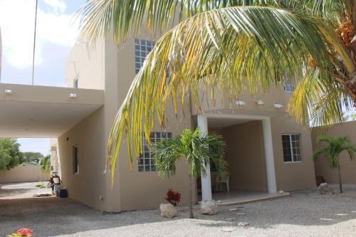 a palm tree in front of a building at Casa Canukatan in Chelem