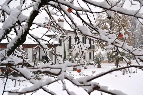 a tree covered in snow in front of a house at Country House Bucaneve in Rovolon