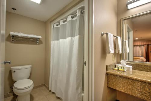 Bathroom sa Burbank Inn and Suites