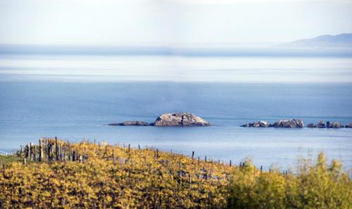 a group of rocks in the middle of the water at ATeRIAN MUSKARIA in Zarautz