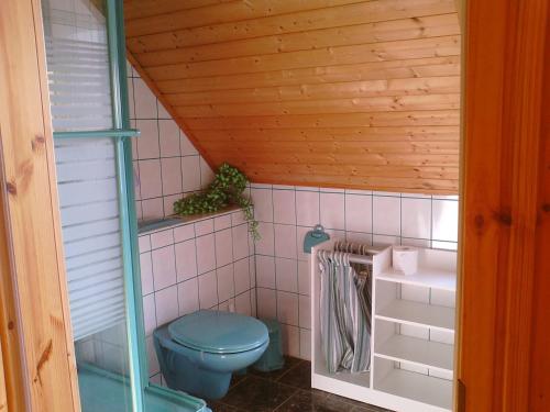 a bathroom with a blue toilet and a sink at Schau ins Land in Elbingerode