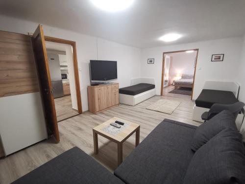 a living room with a couch and a television at Szent Erzsébet Apartmanház in Kecskemét