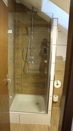 a shower in a bathroom with a glass door at Hotel Glas Schwarzwald in Fluorn