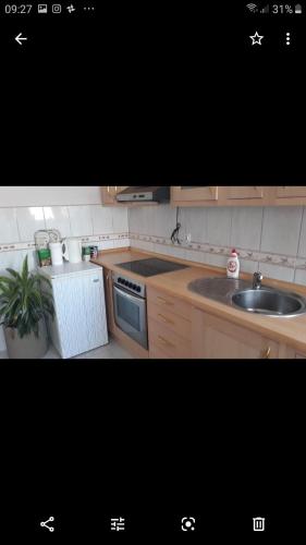 a small kitchen with a sink and a stove at Apartments Alibasic in Dubrave Gornje