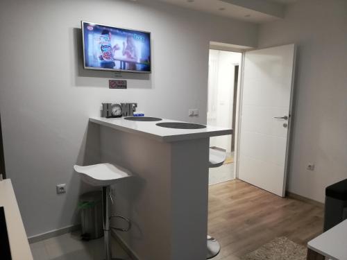TV a/nebo společenská místnost v ubytování Apartman Škribulja