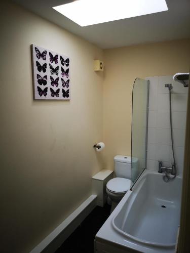 a bathroom with a toilet and a painting on the wall at Contemporary Cottage Holidays in Bridlington