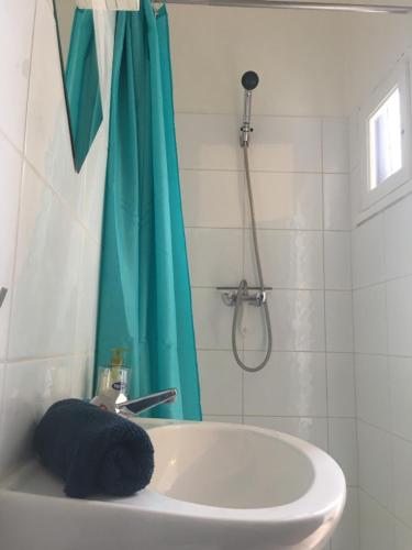 La salle de bains est pourvue d'un lavabo blanc et d'une douche. dans l'établissement Studio Saint merry Fontainebleau, à Fontainebleau