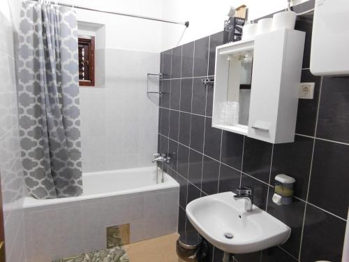 Koupelna v ubytování Apartments Leo Janjina