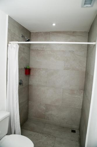 a bathroom with a shower with a toilet at Booking 500 in Monterrey