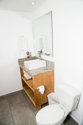 a bathroom with a toilet and a sink at Booking 500 in Monterrey