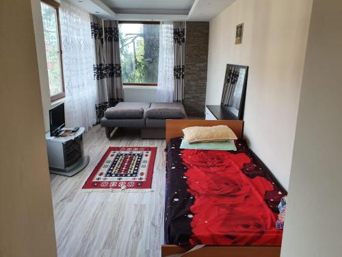 a living room with a bed and a couch at Montana View in Poiana Brasov