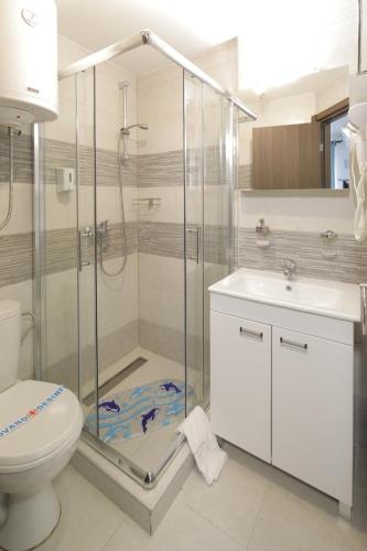 a bathroom with a shower and a toilet and a sink at Apartment Planinska Carolija in Kopaonik