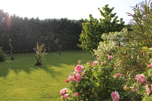 Un jardín fuera de Gites le Pimayon