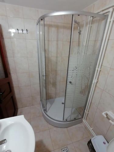 a shower with a glass door in a bathroom at Pensiunea Poarta Lui Ionele in Gîrda de Sus
