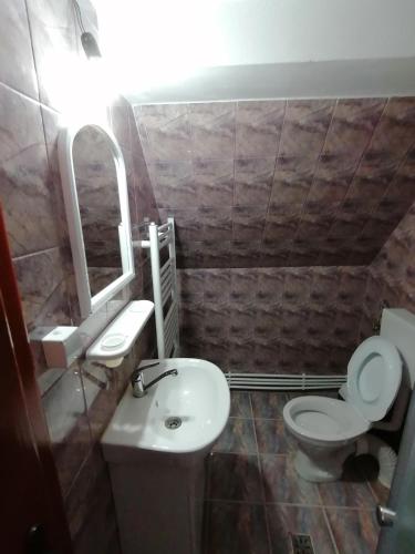 a bathroom with a toilet and a sink at Pensiunea Poarta Lui Ionele in Gîrda de Sus