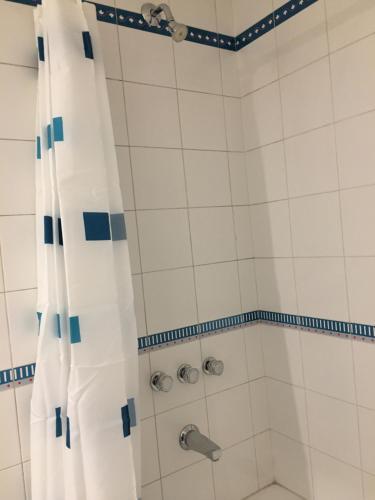 La salle de bains est pourvue d'une douche avec un rideau de douche blanc. dans l'établissement Apartamento súper luminoso en Congreso / Centro, à Buenos Aires