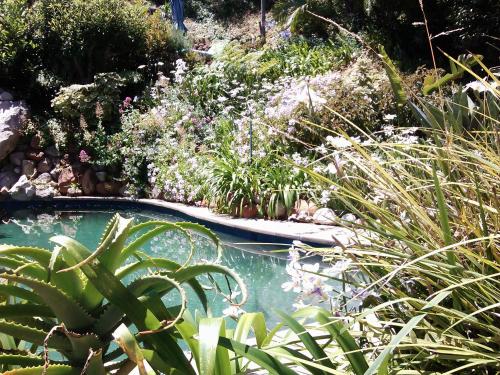 Hout Bay Hideawayにある庭