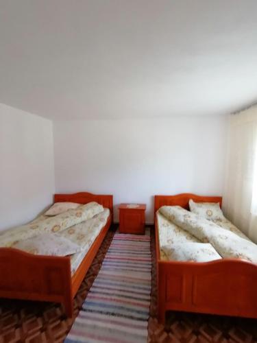 two twin beds in a room with a rug at Pensiunea Poarta Lui Ionele in Gîrda de Sus