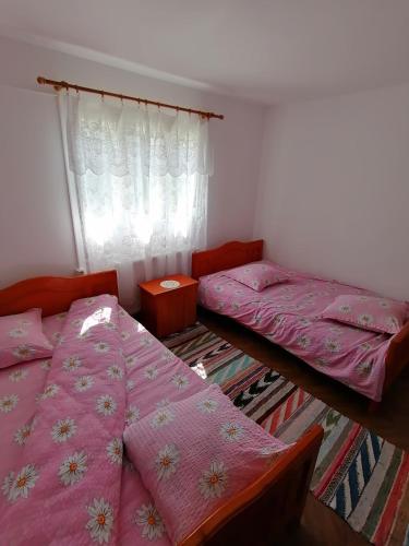 a bedroom with two beds and a window at Pensiunea Poarta Lui Ionele in Gîrda de Sus