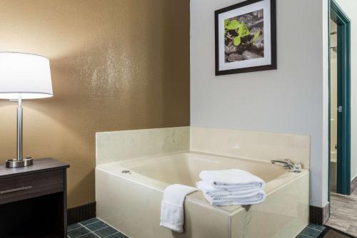 a bathroom with a bath tub with a lamp and towels at Quality Inn in Clare