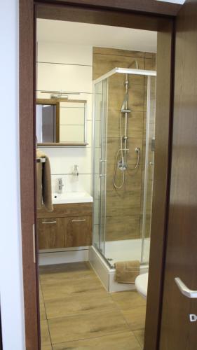 a bathroom with a shower and a sink at Hotel Glas Schwarzwald in Fluorn