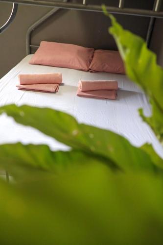 a bed with two pink pillows and a green plant at Hostel Privado in Puerto Princesa City