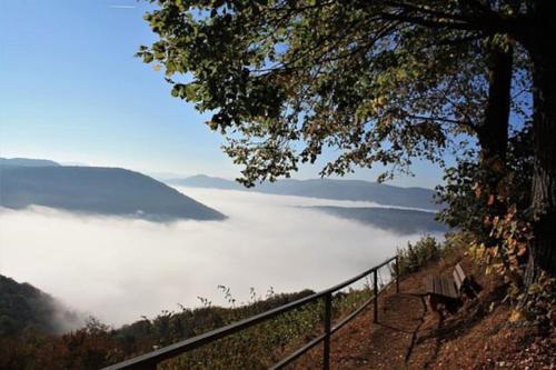ławkę siedzącą na szczycie wzgórza z widokiem na mgłą dolinę w obiekcie Gemütliche Ferienwohnung in ländlicher Idylle w mieście Vöhl