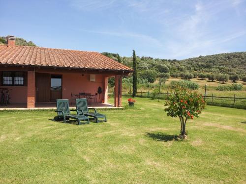 a house with two chairs and a tree in the yard at Bio Agriturismo Le Giunchiglie in Alberese