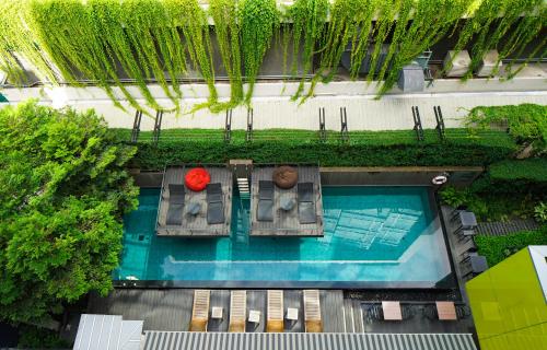 an overhead view of a swimming pool with chairs and a red flower at LiT BANGKOK Residence - SHA Extra Plus in Bangkok