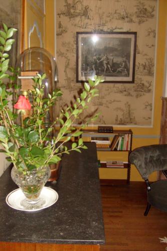 a vase with a plant on a table in a room at Château De Serrigny in Ladoix Serrigny