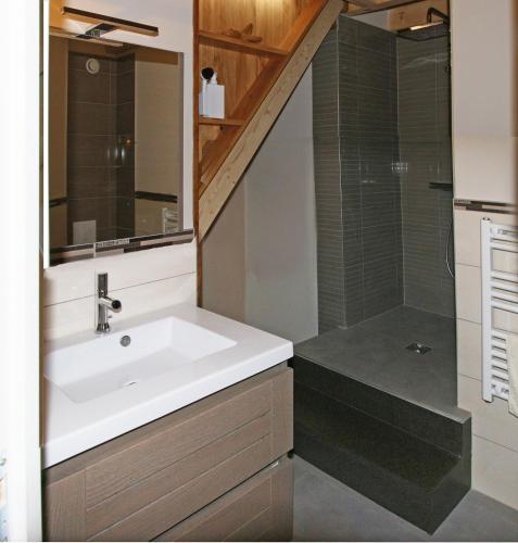 a bathroom with a sink and a shower at ferme du bois joli in Marigny