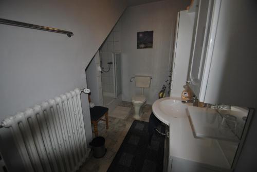 a small bathroom with a sink and a toilet at Haus Rehblick FeWo-App-2 in Sankt Andreasberg