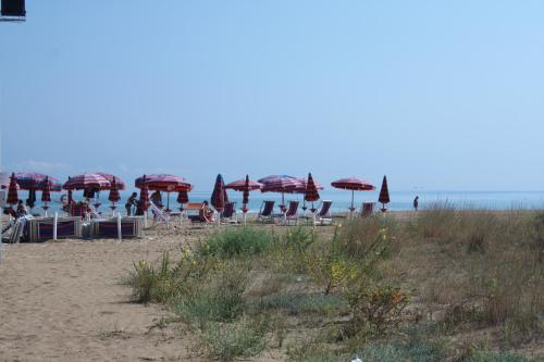a group of chairs and umbrellas on a beach at Hotel Lido in Vasto